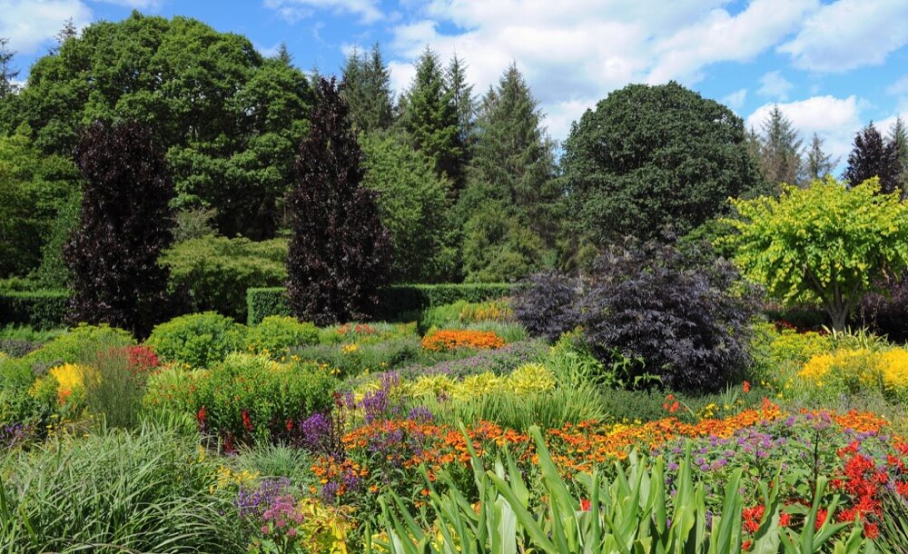 RHS Garden Rosemoor